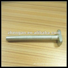 Factory custom high quality stainless steel T bolt